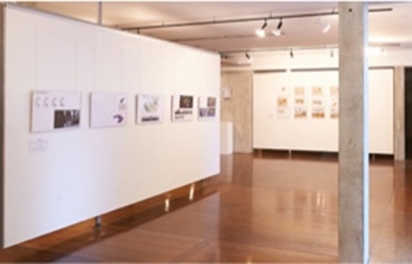 culity gallery interior