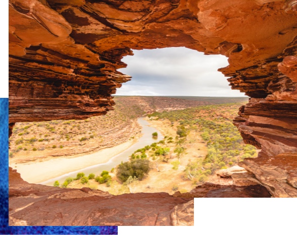 window on the world pic