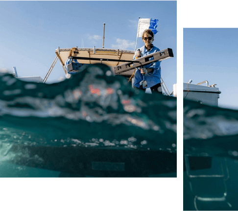 Student studying in marine environment