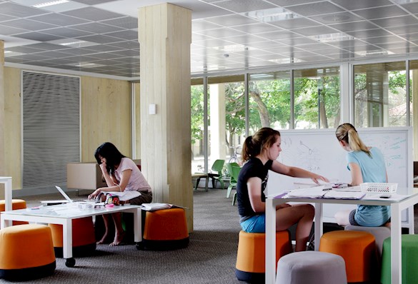 Students studying at Barry J Marshall Library