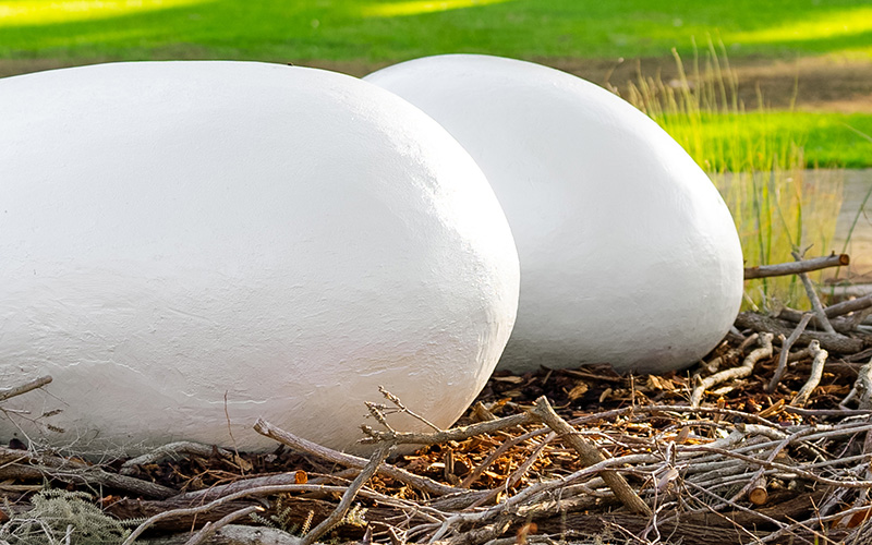 Our place - culture and heritage