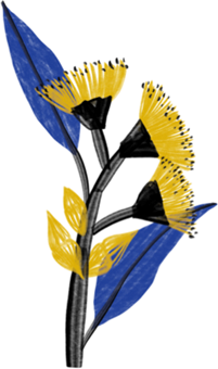 Indigenous drawing of flower